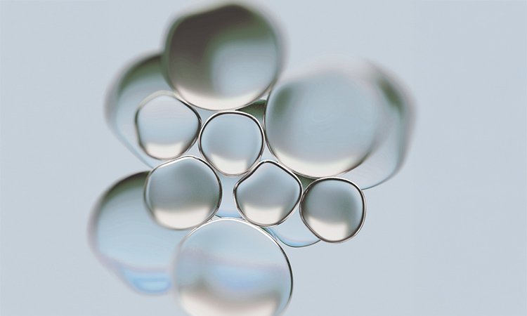 Nahaufnahme von Zellen